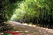 Công tác tái cơ cấu VRG: Đúng hướng, hiệu quả
